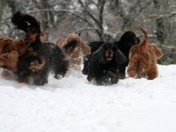 aufgezeichnet_2011-02-08_00017