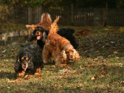 aufgezeichnet_2011-11-2_00151
