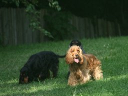 aufgezeichnet_2012-8-12_00016