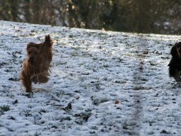 aufgezeichnet_2012-12-6_00015