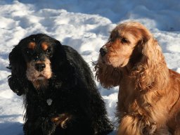 aufgezeichnet_2012-12-8_00006