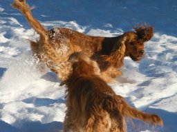 aufgezeichnet_2012-12-8_00010