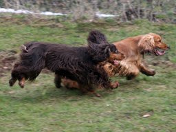 aufgezeichnet_2013-3-22_00033