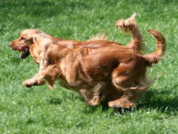 aufgezeichnet_2013-4-24_00043